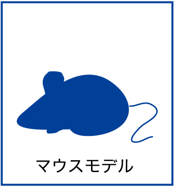 マウスモデル マウスモデル