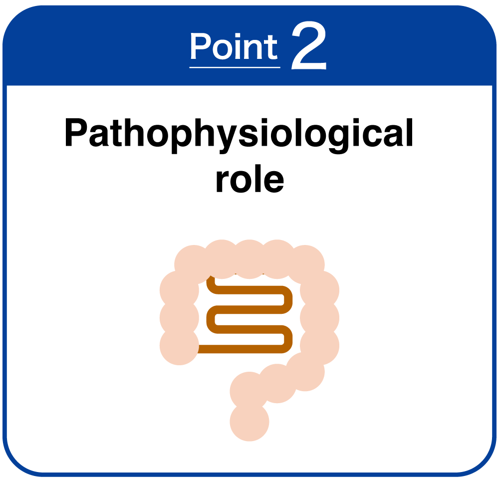 Pathophysiological  role