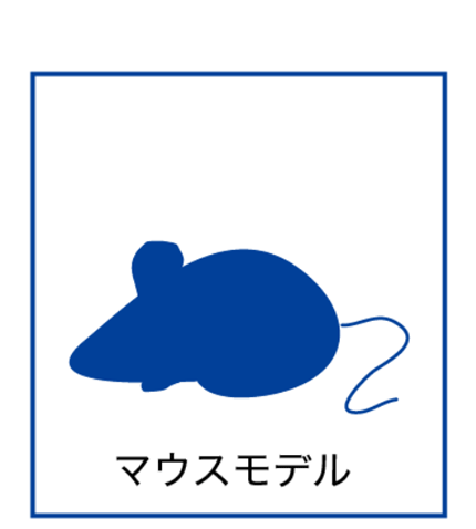 kp_pdx_11 kp_pdx_11